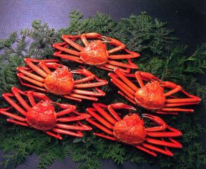 小針水産紅ズワイ蟹セット－１